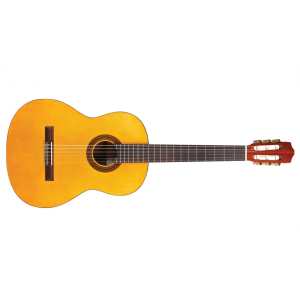 Nylon Strung Classical Guitar Hire