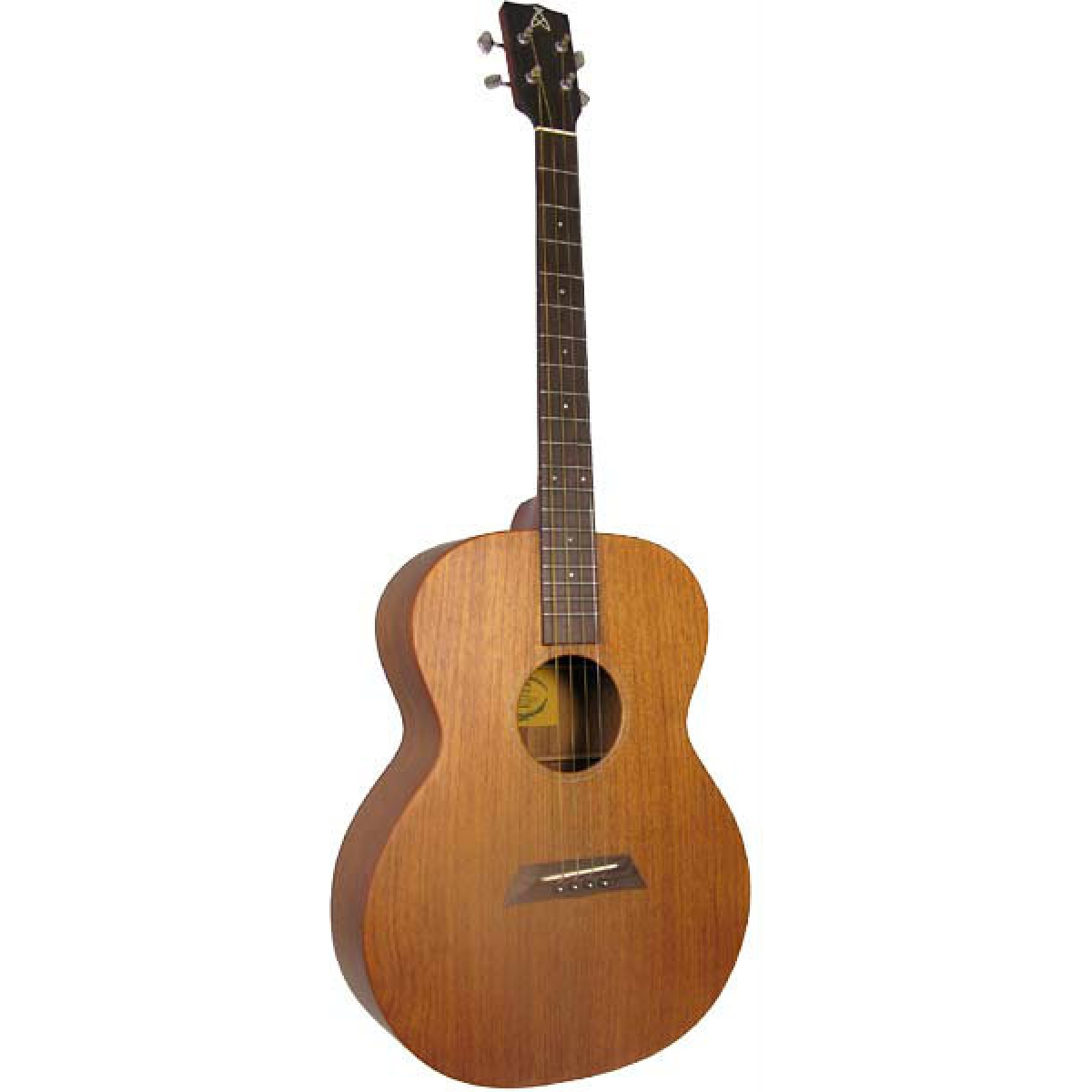Ashbury tenor guitar new arrivals