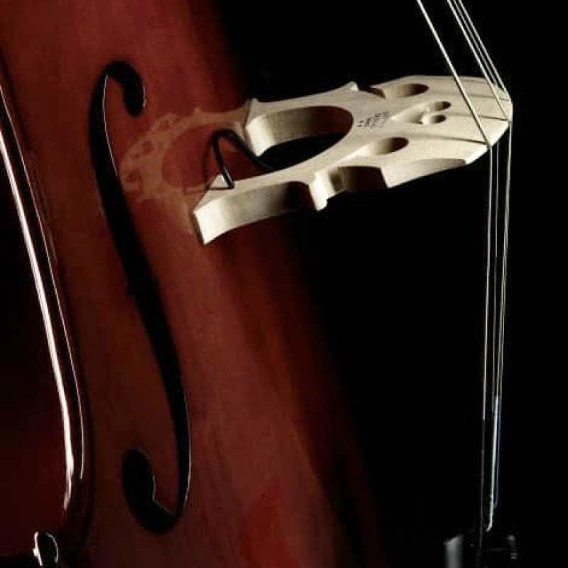 Fishman C200 Concert Series Cello Pickup (PRO-C20-0CE) - Image 2