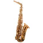 Trevor James 'The Horn' Alto Sax Outfit in Gold Lacquer (3730G)