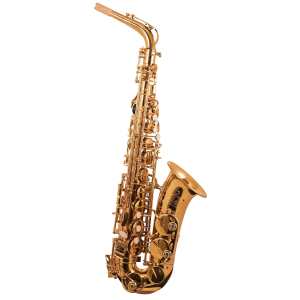 Trevor James 'The Horn' Alto Sax Outfit in Gold Lacquer (3730G)