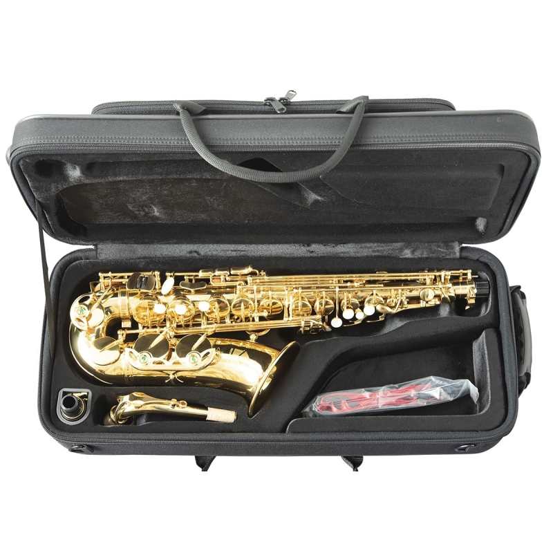 Trevor James 'The Horn' Alto Sax Outfit in Gold Lacquer (3730G) - Image 2