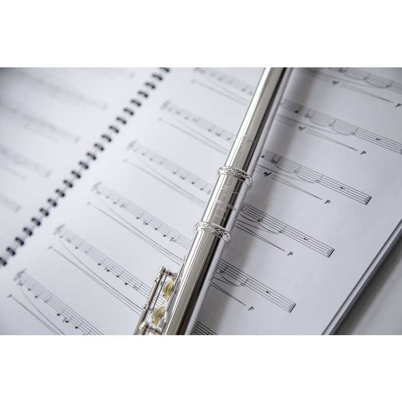 Trevor James 10XP Flute Outfit with Silver Lip Plate & Riser (10XE-P / 3042EASLRW) - Image 2