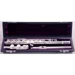 Trevor James 10XP Flute Outfit with Silver Lip Plate & Riser (10XE-P / 3042EASLRW)