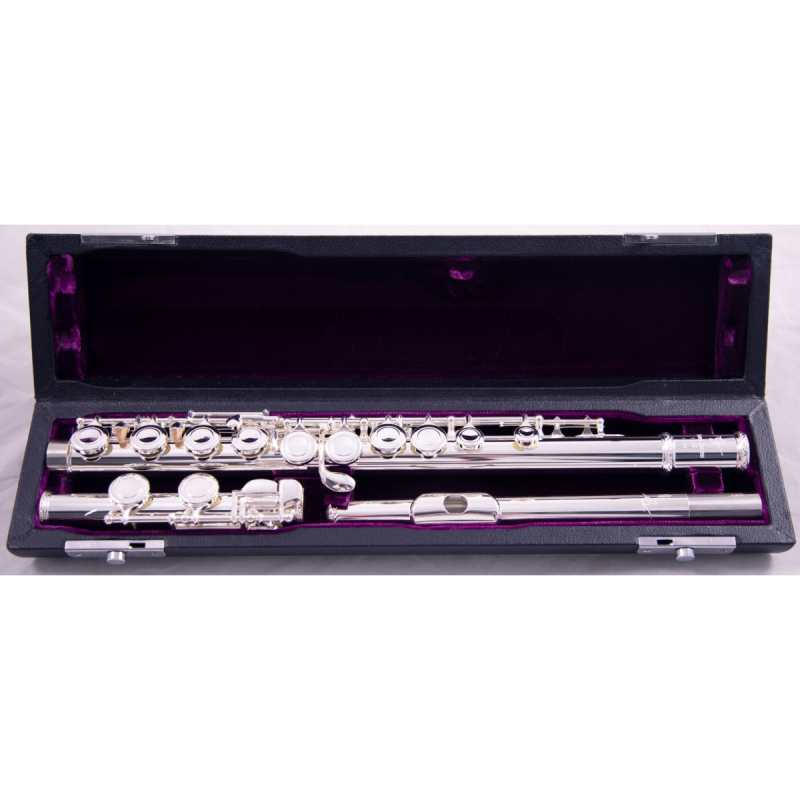 Trevor James 10XP Flute Outfit with Silver Lip Plate & Riser (10XE-P / 3042EASLRW)