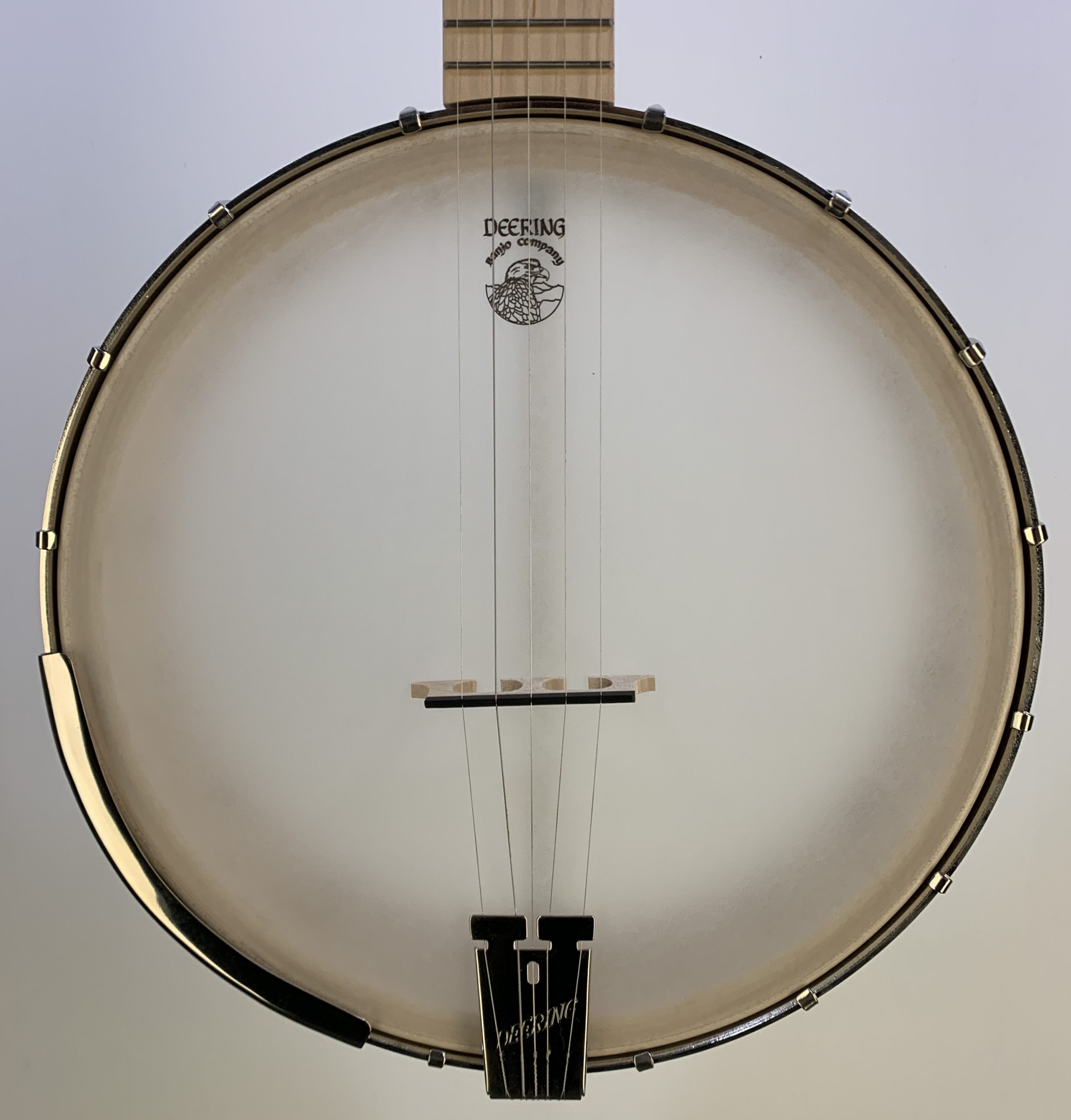Goodtime on sale americana banjo