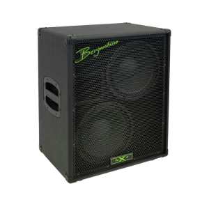 Bergantino NXT210 ‘Neo X-Treme Technology’ Bass Cab