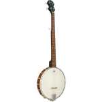 Blue Moon BJ-10 5 String Banjo, Openback (GR37005)