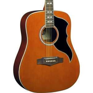 Eko Ranger VI VR EQ 6-String Electro Acoustic Guitar in Natural (06217128)