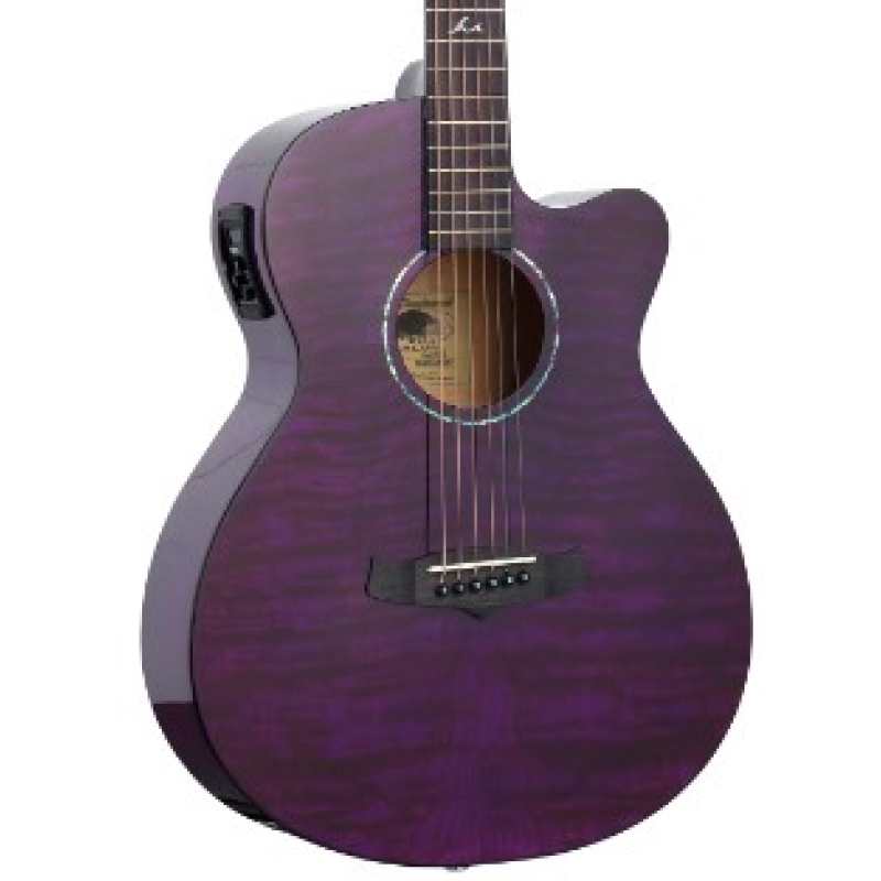 Tanglewood TA4CE-PU Azure Electro Acoustic in Foxglove Purple