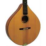 Ashbury Style E Irish Bouzouki With Hardcase (GR33016)