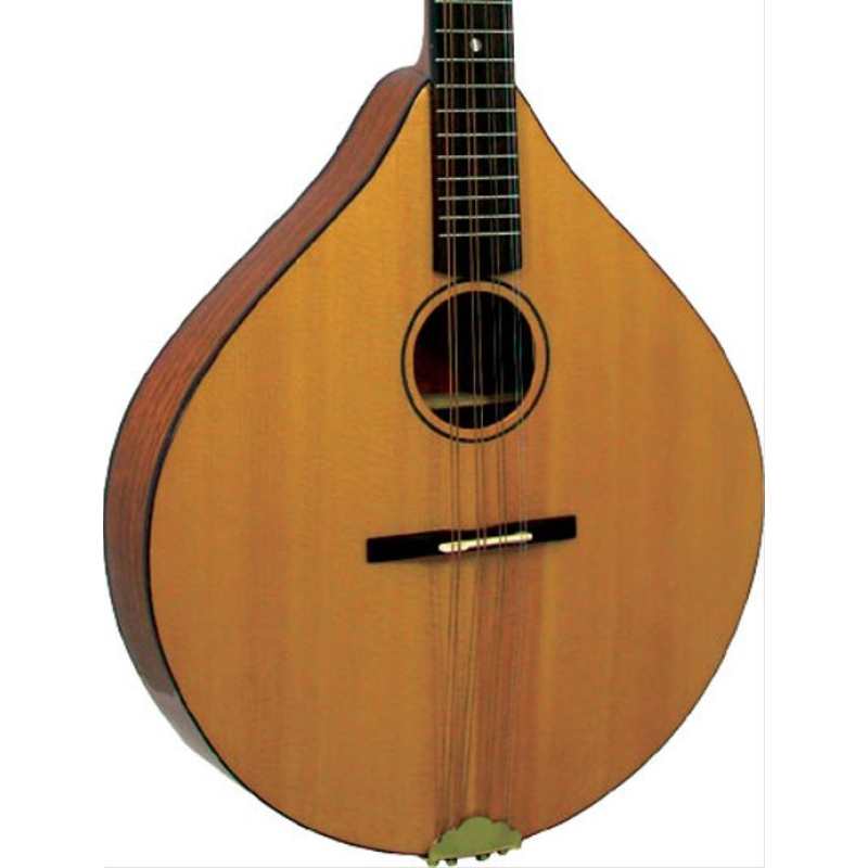 Ashbury Style E Irish Bouzouki With Hardcase (GR33016)