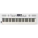 Roland Go: Keys 5 61-Key Music Creation Keyboard, White