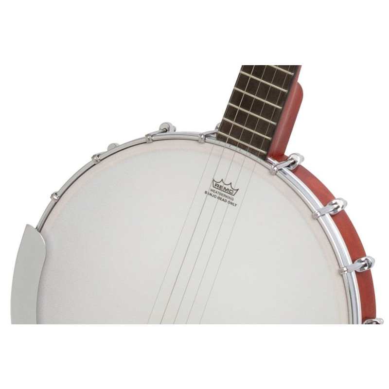 Epiphone MB100 5-String Banjo - Image 2