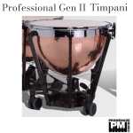 Adams 32" Professional Generation II Hammered Copper Timpani ….. with balanced action pedal mechanism, tuning gauge, mute, and remo renaissance head [available with or without finetuner]