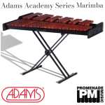 Adams MSLD30 Academy Series 3-octave Portable Marimba with Padouk Wood Bars, Adjustable X-stand, Cover and Mallets