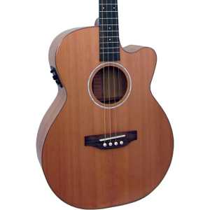 Ashbury Lindisfarne Electro Acoustic Tenor Guitar with Hardcase (GR36116)