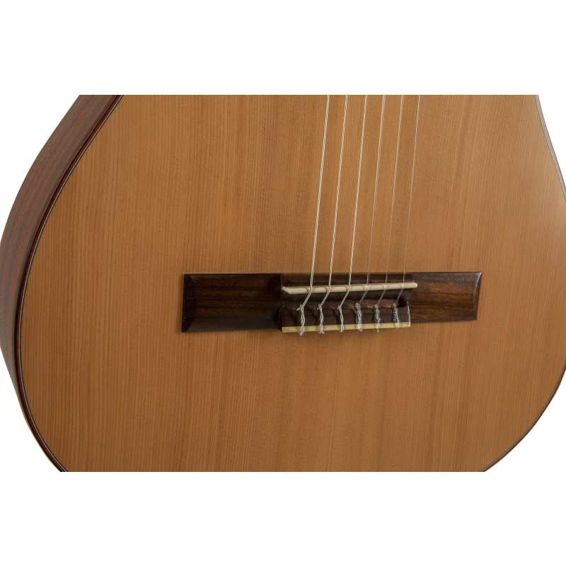 Manuel Rodriguez T62 7/8 Size Tradicion Series Classical Guitar (T-62) - Image 7