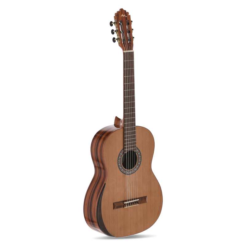 Manuel Rodriguez EX-SC Exotica Santos Pavo Real Gloss 4/4 Classical Guitar - Image 4