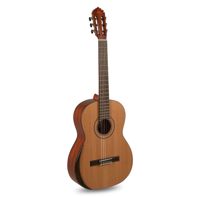 Manuel Rodriguez T65 4/4 Tradicion Series Classical Guitar (T-65) - Image 6