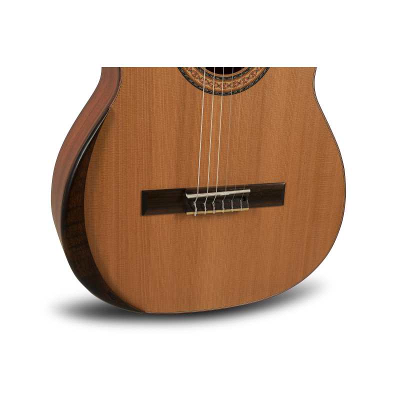Manuel Rodriguez T65 4/4 Tradicion Series Classical Guitar (T-65) - Image 4