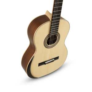 Manuel Rodríguez E65 ECOLOGIA 4/4 Classical Guitar (E-65)