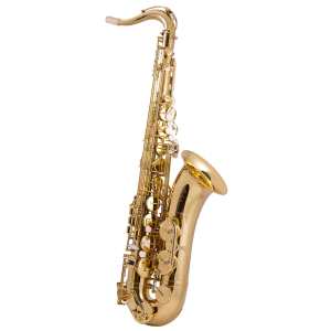 Trevor James SR EVO Tenor Sax Outfit in Gold Lacquer with Case (384SE-KKIM)