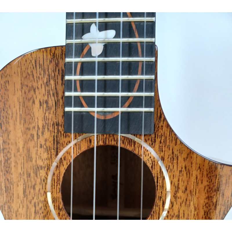 Enya EUC-M6 Concert Acoustic Ukulele, Brown Natural Gloss - Image 4