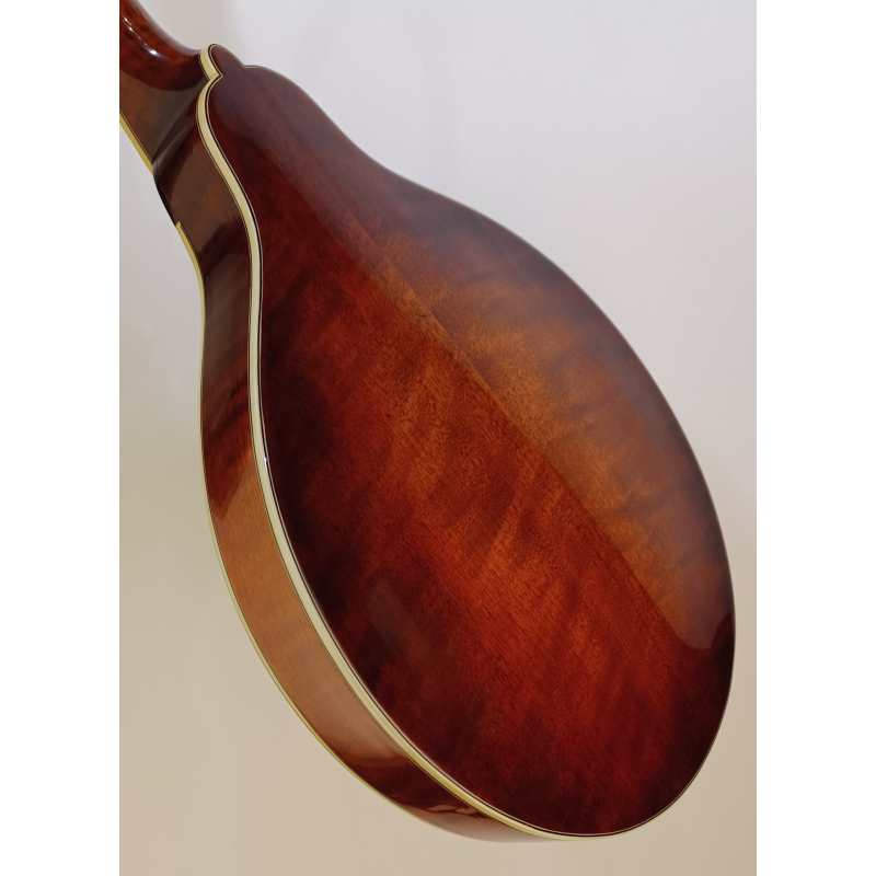Eastman MD804 Mandolin, Secondhand - Image 11