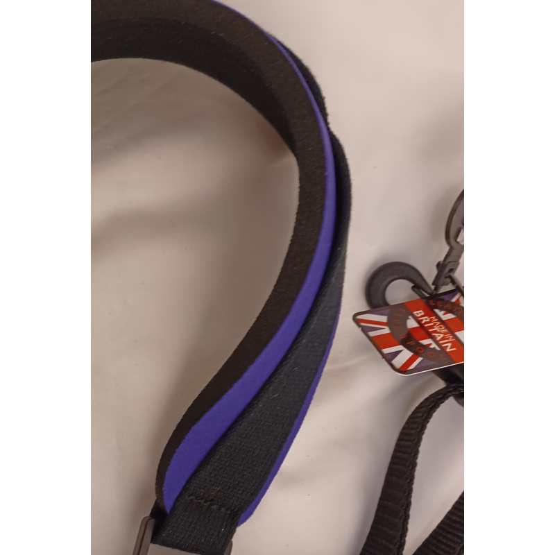 Levin 1" Webbing Strap for Saxophone with Neoprene Neck Pad in Purple (LS-S-W-NEO-100-PURPLE) - Image 3