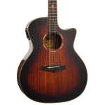 Tanglewood TWX6CEK Winterleaf, Autumn Burst Gloss