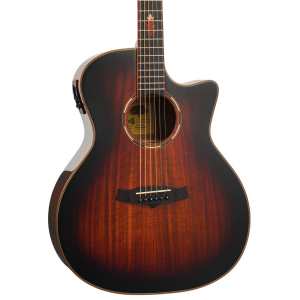 Tanglewood TWX6CEK Winterleaf, Autumn Burst Gloss