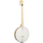Ashbury AB-25-T Tenor Banjo, Maple Open Back (GR38027) AB25T