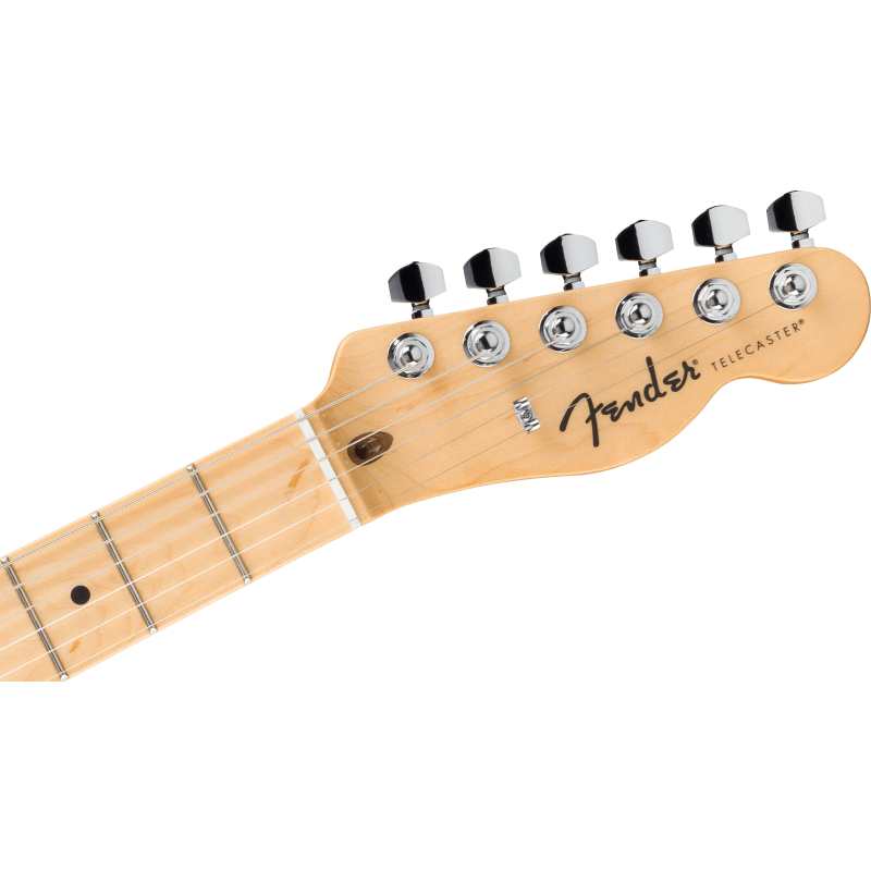Fender Standard Telecaster, Butterscotch Blonde (0266021550) - Image 4