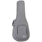 Tanglewood Dreadnought TWSDC EPS Foam Case