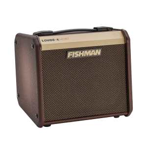 Fishman Loudbox Micro, Small Acoustic Amplifier