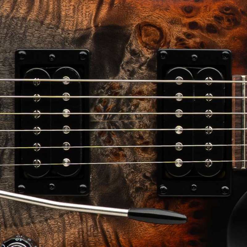 PRS SE Custom 24-08 Poplar Burl Limited Edition - Image 2