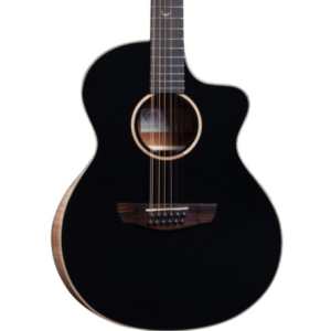 Faith FNCE12EC Eclipse Neptune 12 String Electro Acoustic With Cutaway