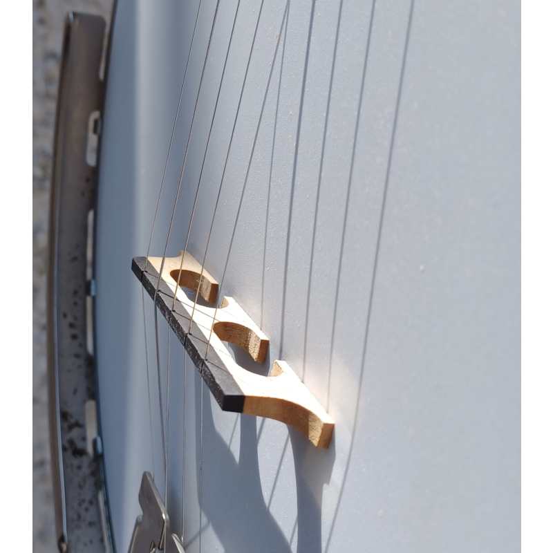 Deering Goodtime Classic 2, 5-String Electro-Acoustic Banjo, Secondhand - Image 5