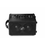 Phil Jones Bass BG-80 Bass Amp Combo (BG80)