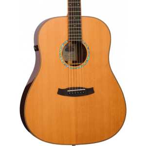 Tanglewood TRS5SE Rosewood Smart Dreadnought Guitar