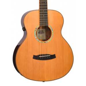 Tanglewood TRS1E Rosewood Smart Series Acoustic Guitar