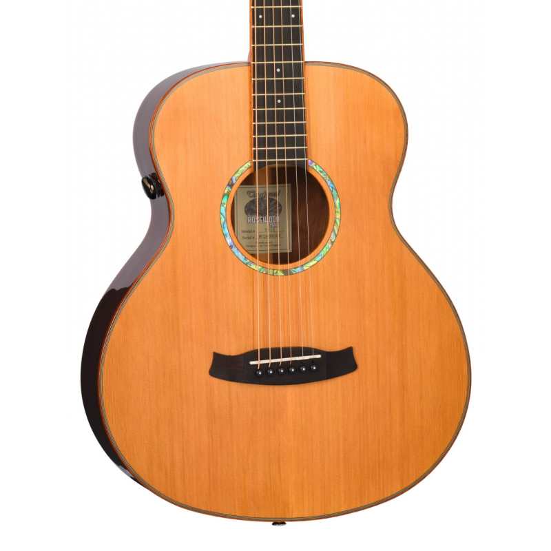 Tanglewood TRS1E Rosewood Smart Series Acoustic Guitar