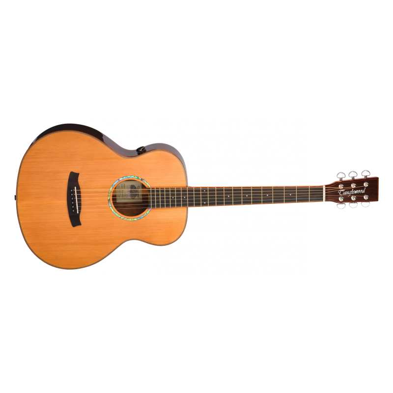 Tanglewood TRS1E Rosewood Smart Series Acoustic Guitar - Image 2