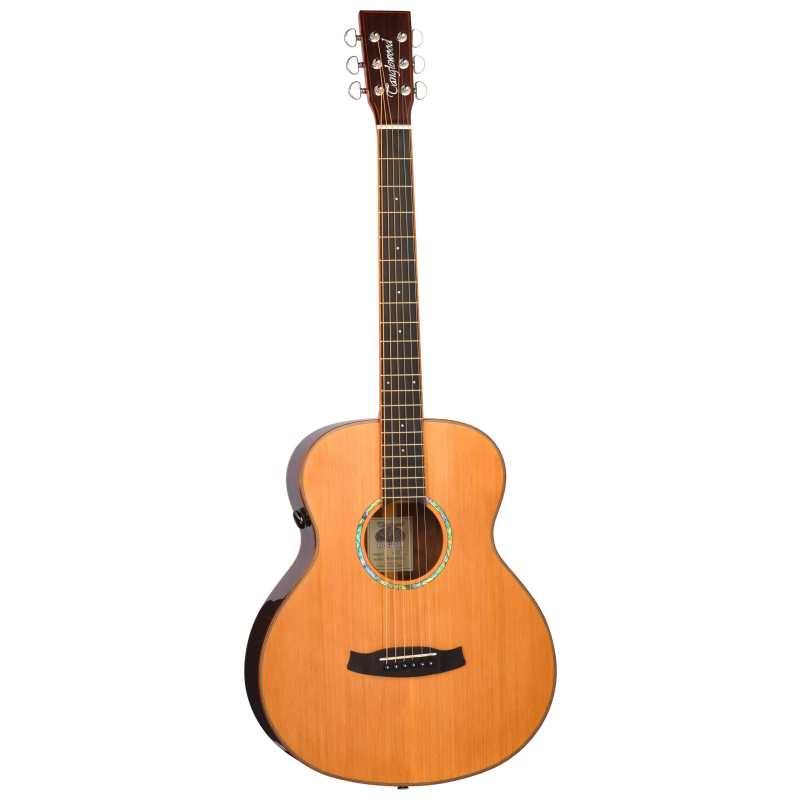 Tanglewood TRS1E Rosewood Smart Series Acoustic Guitar - Image 4